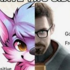 Gordon Freeman mix