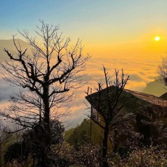 Thuốc Chống Shuy 5 - ThangSoobin