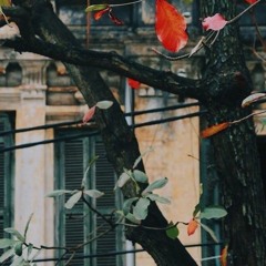 Đâu phải Classic love