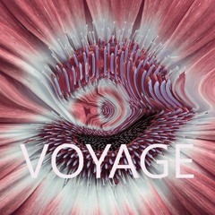 Voyage