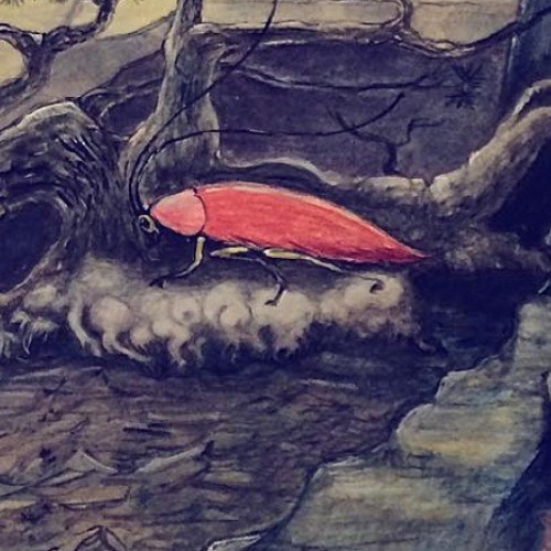 The Prospect