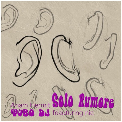 Anam Hermit    Solo Rumore (remix)    feat. Nic
