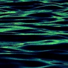 GLASSPVCK - Depth Charge (Wildsilences Experiment)