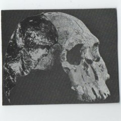 DMVU - Bloccd (Sectra Remix)