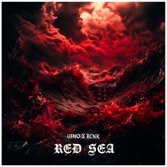VINO X BLNK - RED SEA