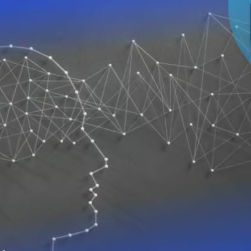 Andrea Bertoli - Fully Connected Network (v1)