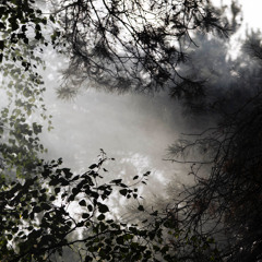 dirtydms b2b neska at Draaimolen Festival 2025