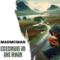 Coconuts in the rain