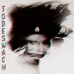 #2 TODESWACH-PODCAST_CHANARCHY