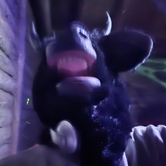 bull pipo