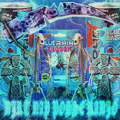 DIRTNAP POSSE [PROD. XLO THE MISFIT]