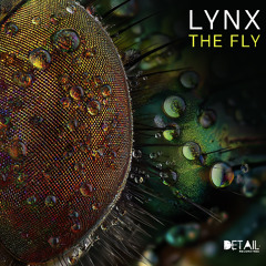 The Fly