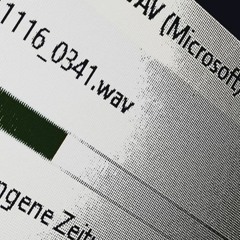 DIE REUDIGEN REUDNZ @ 48h RAVE LPZ