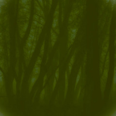 Through a long uncertain path - Smarrita la diritta via