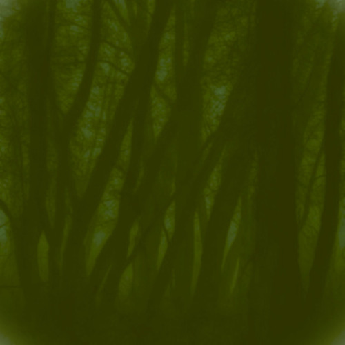 Through a long uncertain path - Smarrita la diritta via