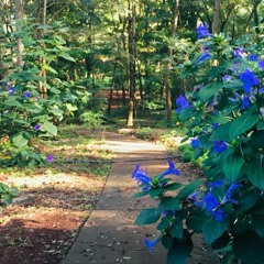 15.07.2022 - Cap. XI - Amar o Próximo Como a Si Mesmo - Caridade com os Criminosos (8)