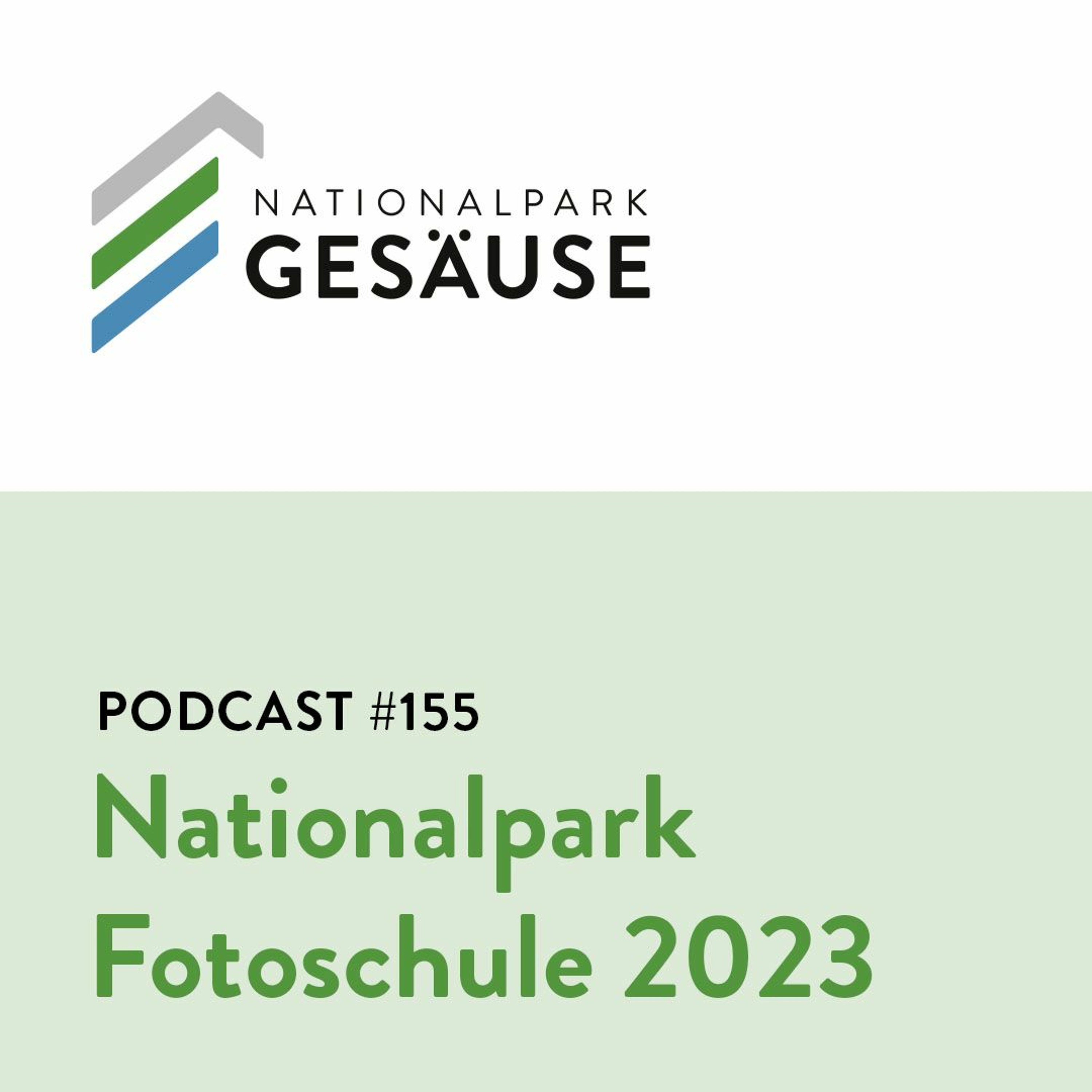 Podcast #155 Fotoschule 2023 episode artwork