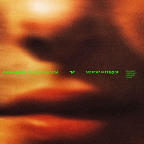 Disrupta & Rudimental - Gone For The Night (Jervi's Remix)