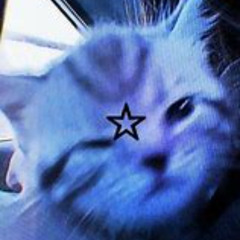 sj dont slip remix