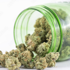 Bingi - Ganja -Iffa Cush