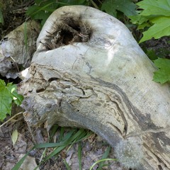 You'll Get the Benefit of the Doubt