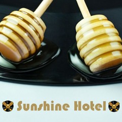 Sunshine Hotel (Honey Bastard Remix)