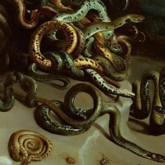 Medusa