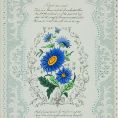 Forget Me Not