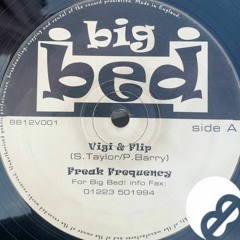 Vigi & Flip - Freak Frequency Original