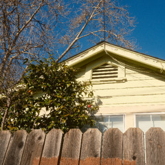 Walking In Suburbs