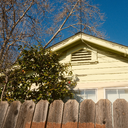 Walking In Suburbs