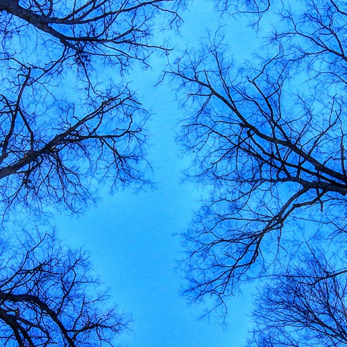 Its Just One Of Those Days