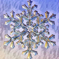 PAPPITHEGEMINI - WAVES CRASH 2