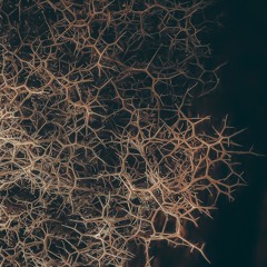 Rendeece remixes