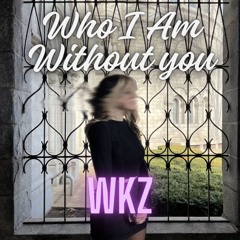 Who I Am Without You (WKZ~RMX)