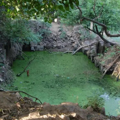 pond