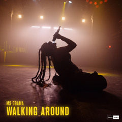 Walking Around (feat. Simone Salvi)