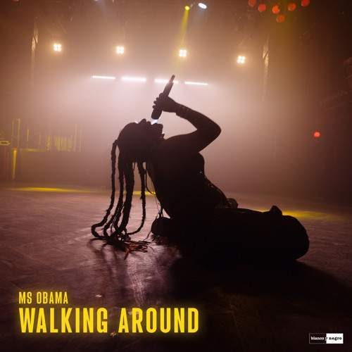 Walking Around (feat. Simone Salvi)