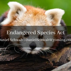 Endangered Species Act| Daniel Schwab Wyoming