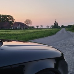 (25-31Hz) - going home