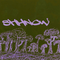 Tony shhnow - Off Da Shrooms (BenBurt)