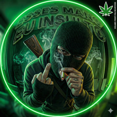 Esses Mano Eu Insulto