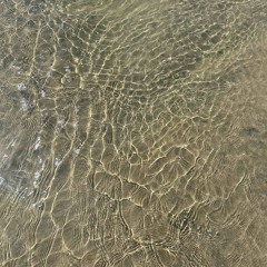 Aquaculture