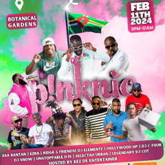 Selectah Urban - Pinknic Dominica LIVE 2024 | (11-Feb-2024)