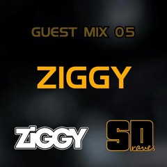 Guest Mix 05: Ziggy