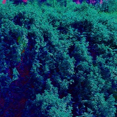 17 may small mix