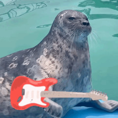 COM381soup Assignment 6