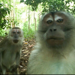 Attached - BubsonDisBeat - (prod. NAPALM)