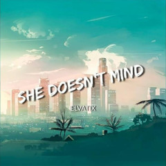 Sean Paul She doesn't mind ( X-Pense Ft Bad Doll edit )