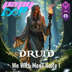 DRuiD - We WiLL MeeT HeRe !